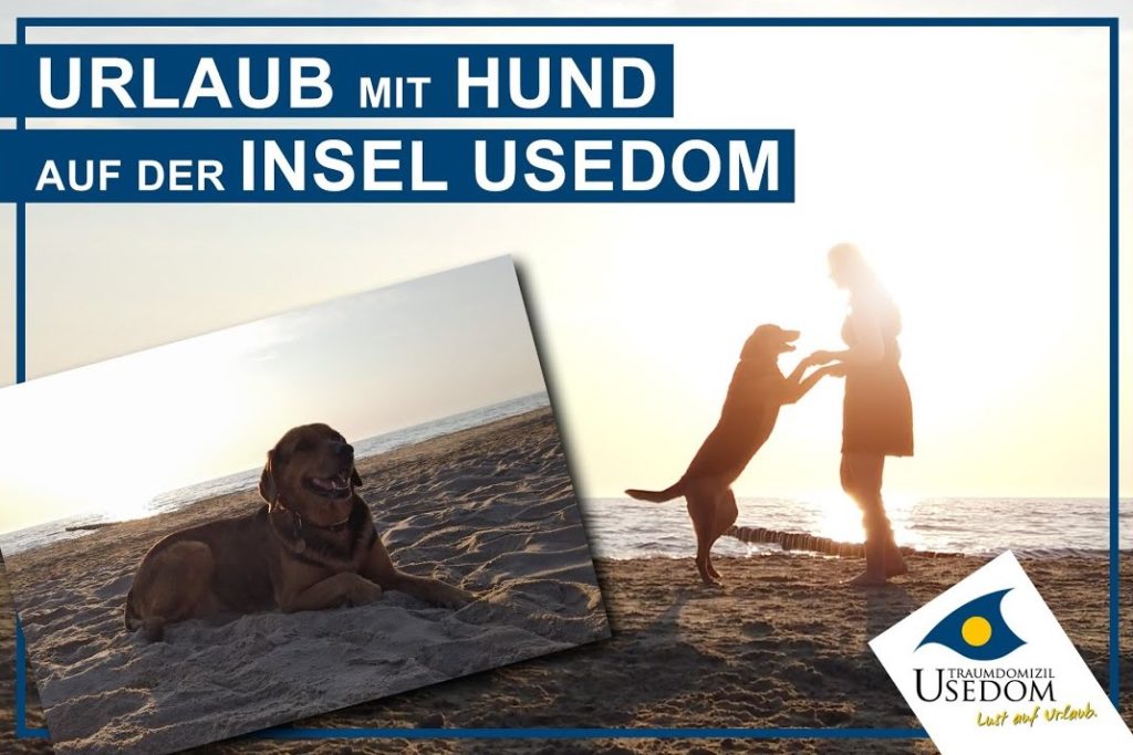 Usedom-Urlaub mit Ihrem Hund