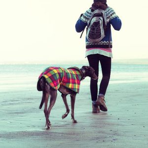 Usedom-Urlaub-mit-dem-Hund