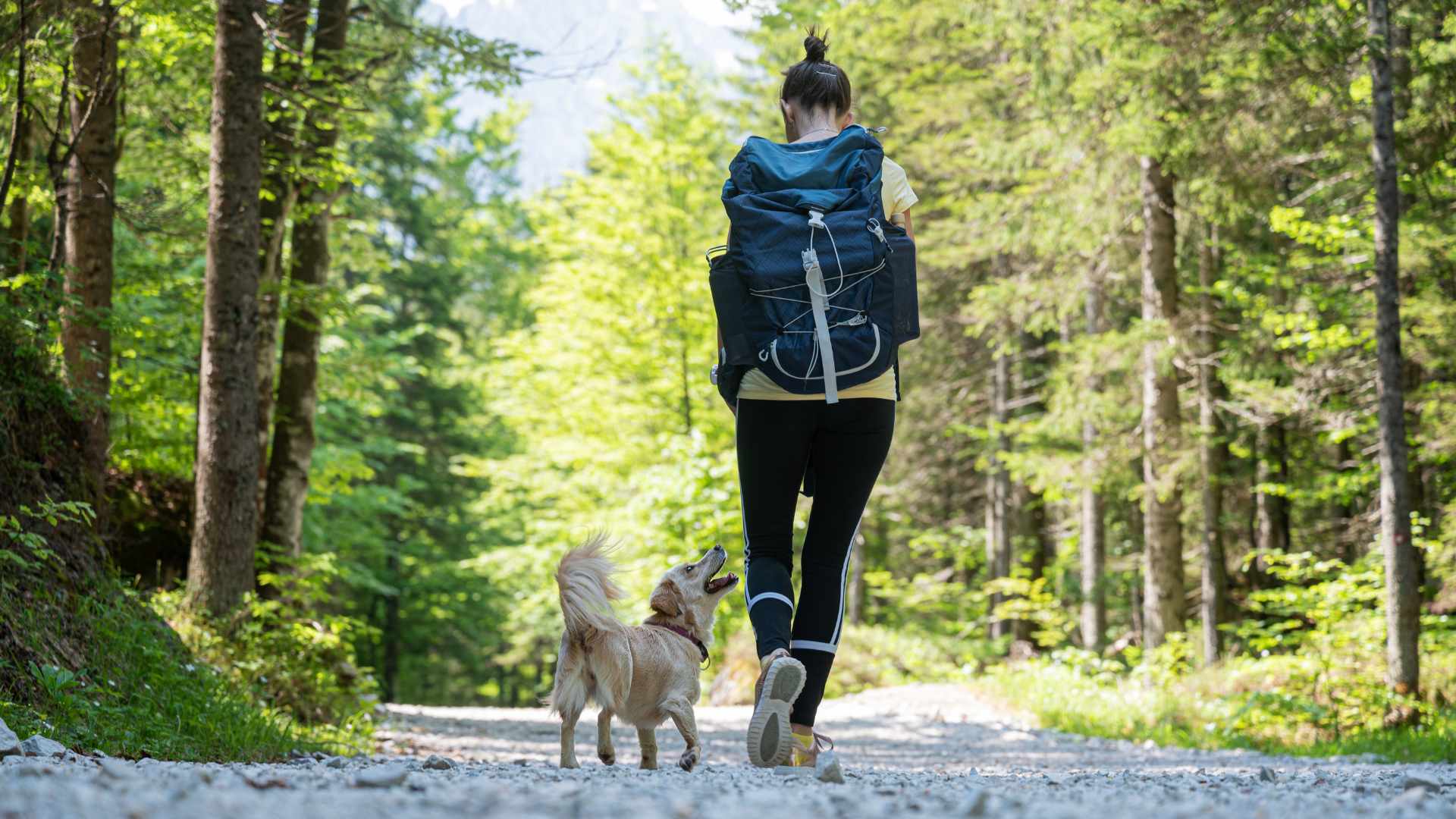 Usedomurlaub mit Hund - Wandern mit dem Hund