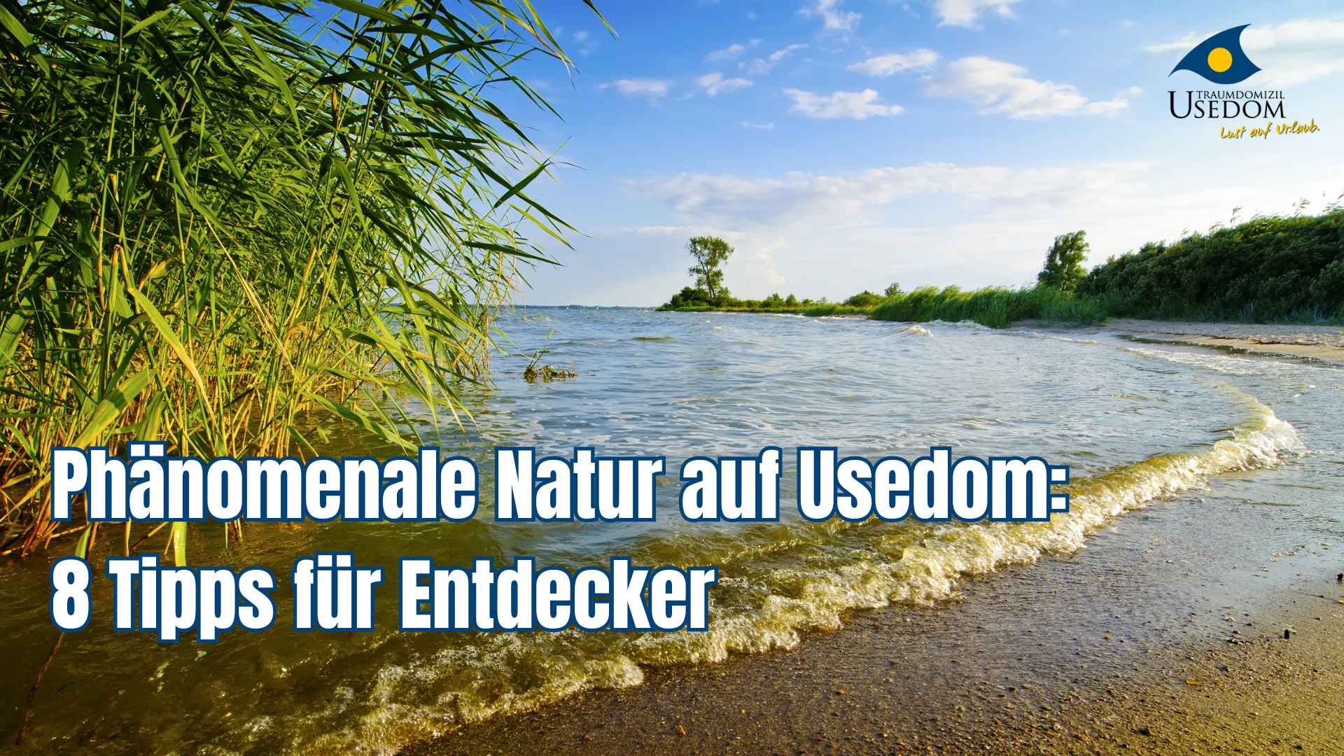 Jobs Auf Der Insel Usedom www.traumdomizil-usedom.de