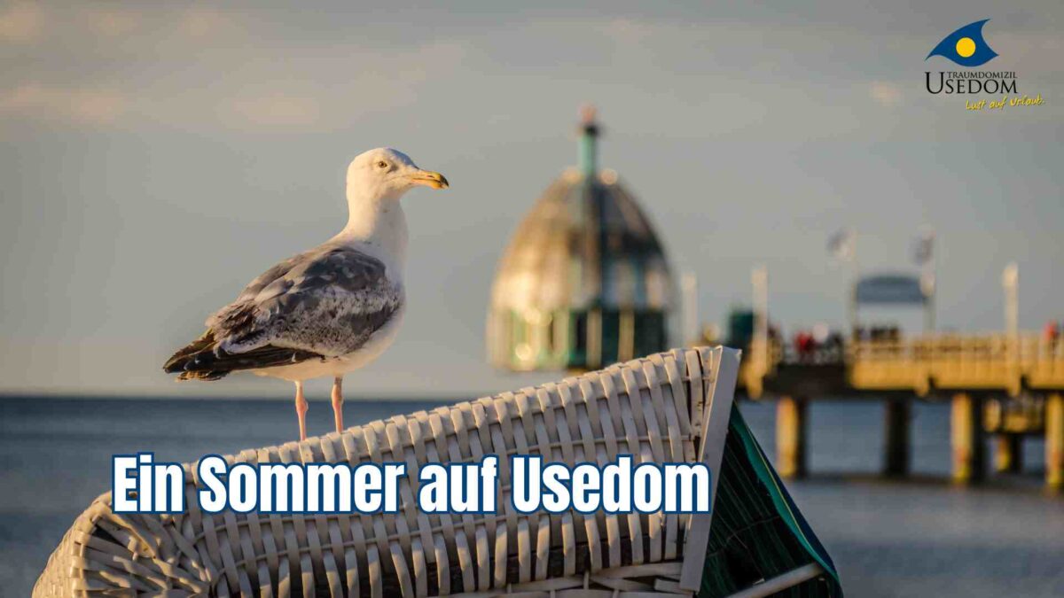 Ein Sommer auf Usedom