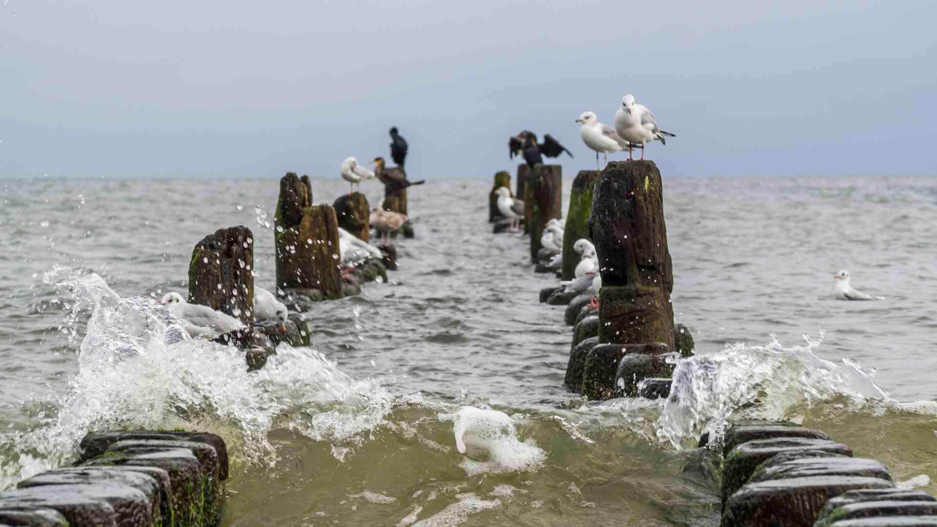 Herbst auf Usedom