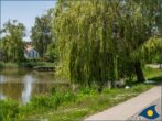 Villa Vineta Whg. 03 - Promenade am Schloonsee