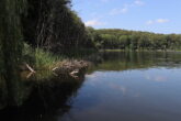 Feriendoppelhaushälfte An Seen und Meer 03 / - Wolgastsee