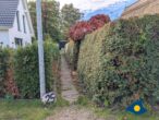Reetdachhaus Ostseeglück im Birkenhain - Zuwegung zum Ferienhaus